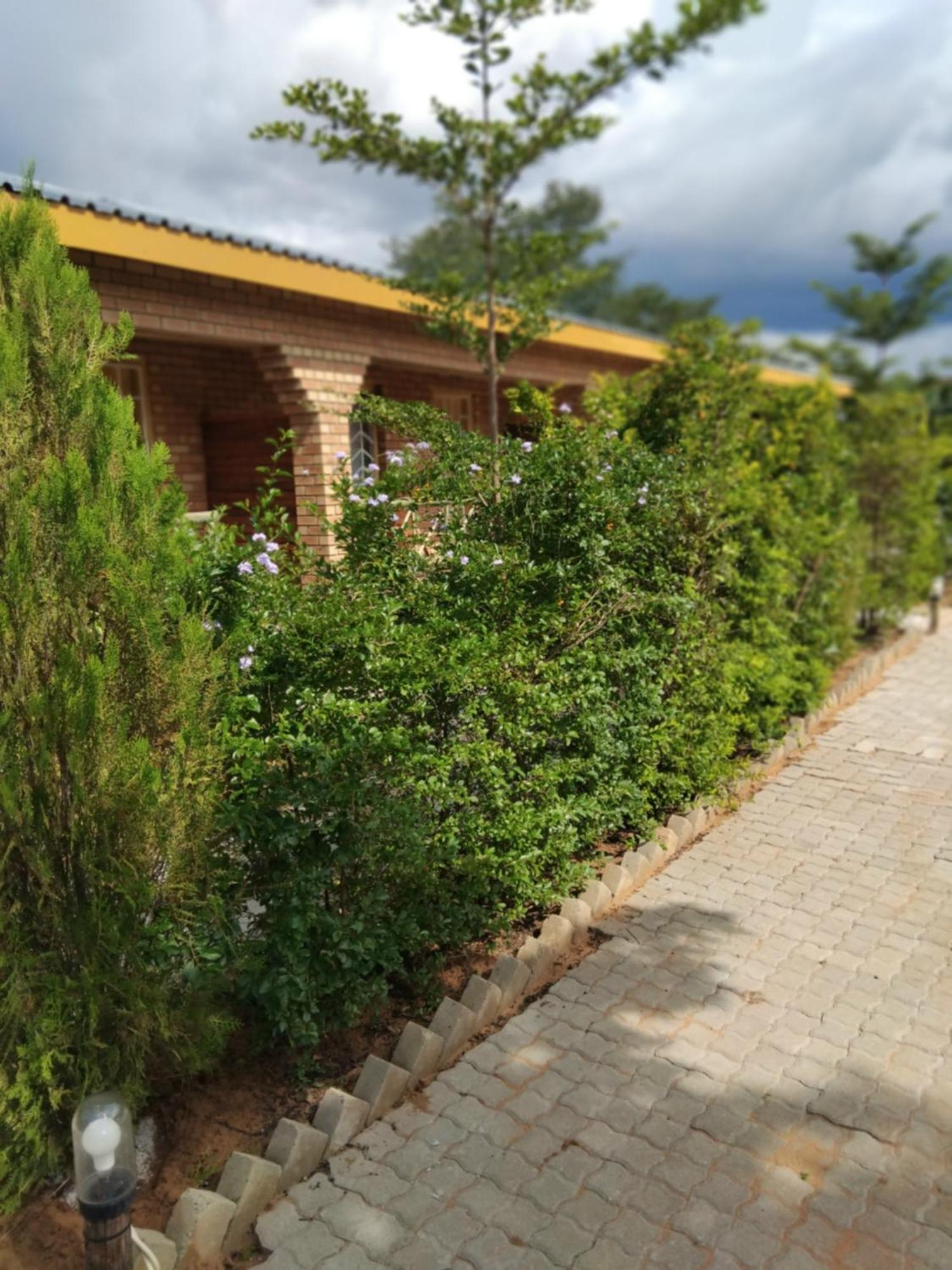 Sunshinevibe Guest House Kasane Luaran gambar